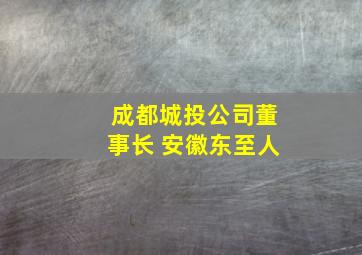 成都城投公司董事长 安徽东至人